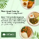 EARTHWISE Bagasse 12 inch, 50-Pack Round Plates  Eco-Friendly Biodegradable Like Bamboo Wood Plates 2.webp