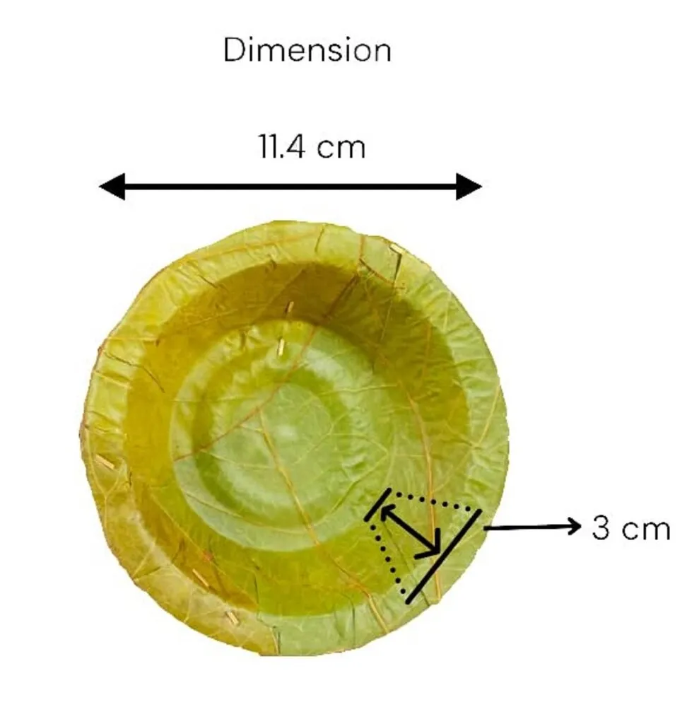 SEVOU Disposable Paper Plates1.webp