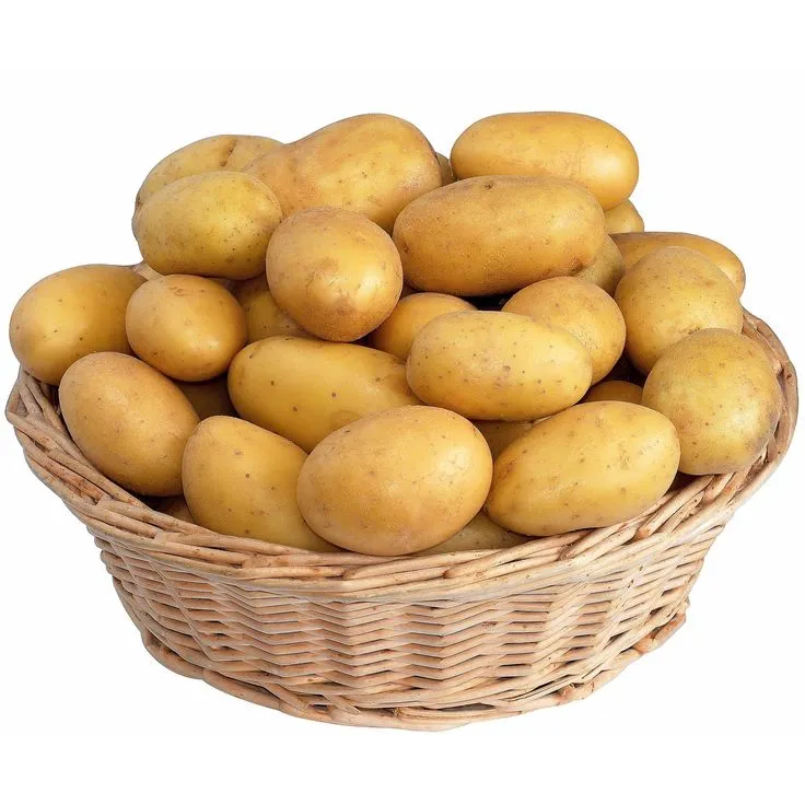 Potato (Aloo)